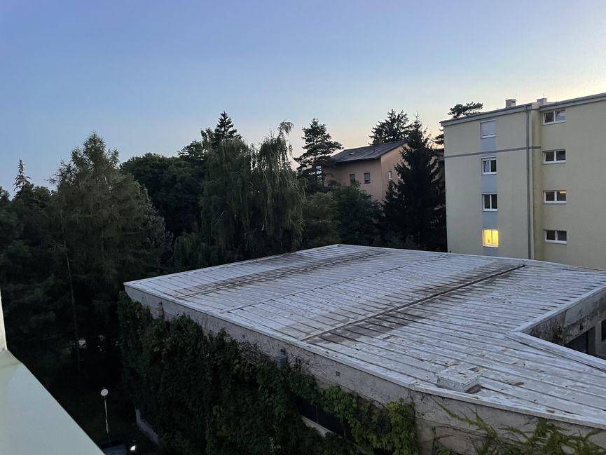 Abendlicher Ausblick über Dächer und Bäume auf umliegende Gebäude bei Sonnenuntergang.