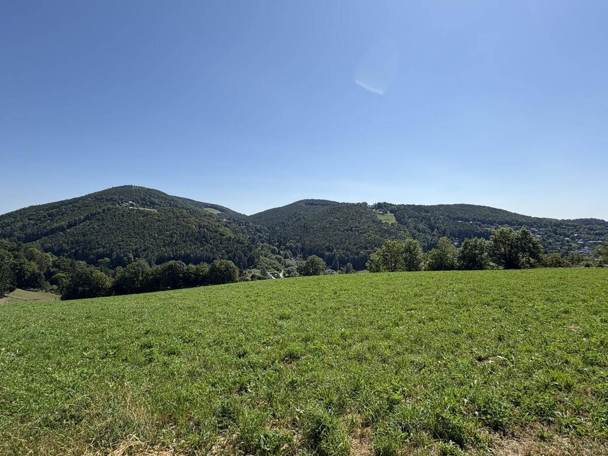 Top-Lage! Grundstück mit ca. 1.533 m² in Andritz – traumhafter Ausblick in ruhiger Sonnenlage! - Ansicht 2