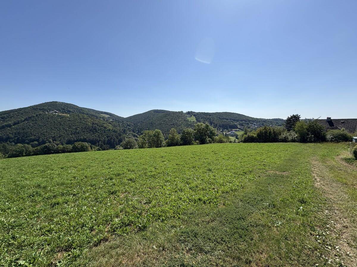Top-Lage! Grundstück mit ca. 1.533 m² in Andritz – traumhafter Ausblick in ruhiger Sonnenlage! - Ansicht 3
