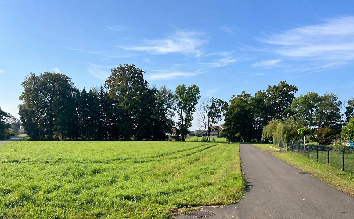 Sonnige Wiesenfläche mit einem asphaltierten Weg, umgeben von Bäumen und ländlicher Umgebung.