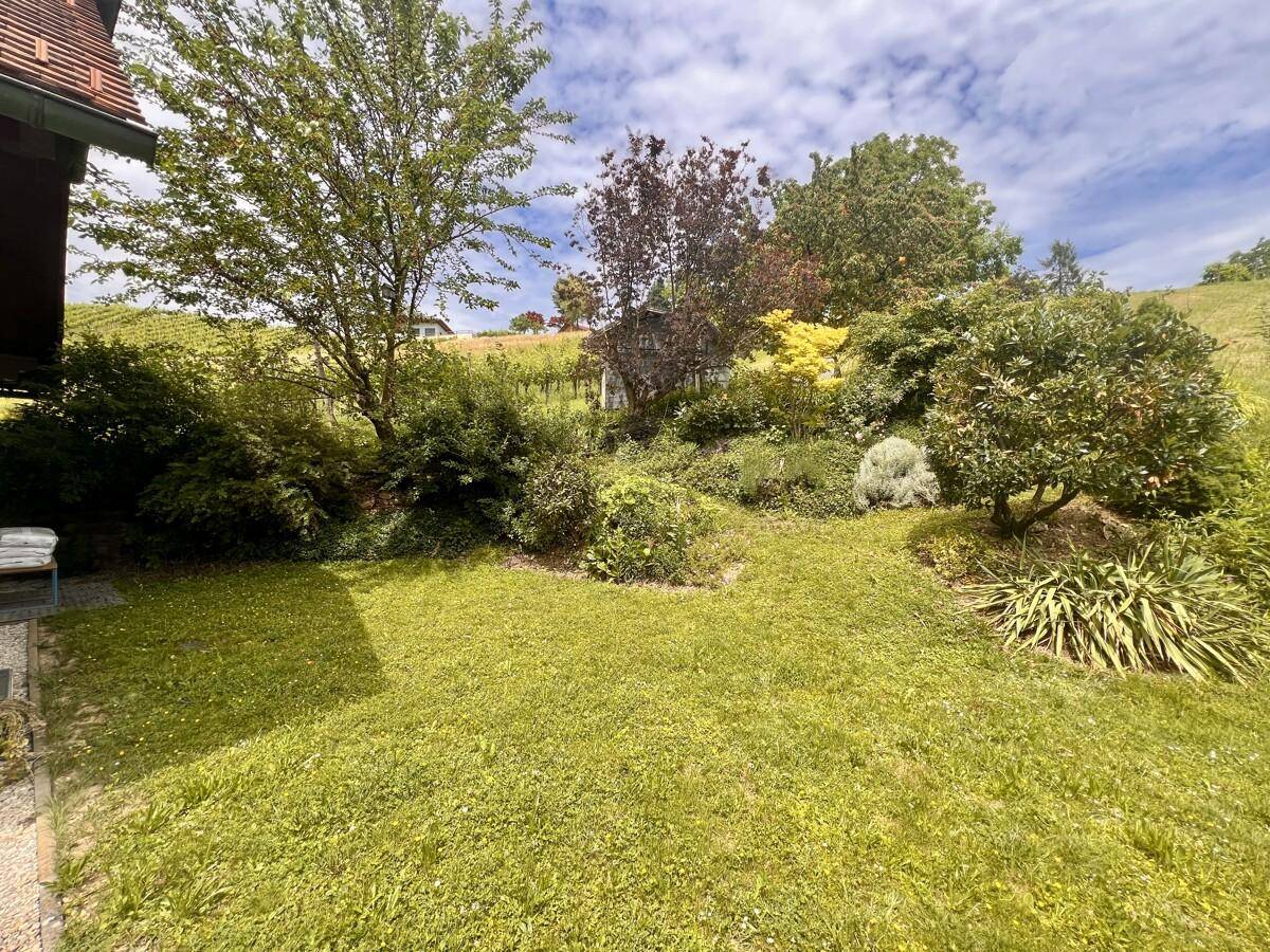 Gepflegter Gartenbereich mit Rasenfläche, Sträuchern und Blick auf die Weinberge.