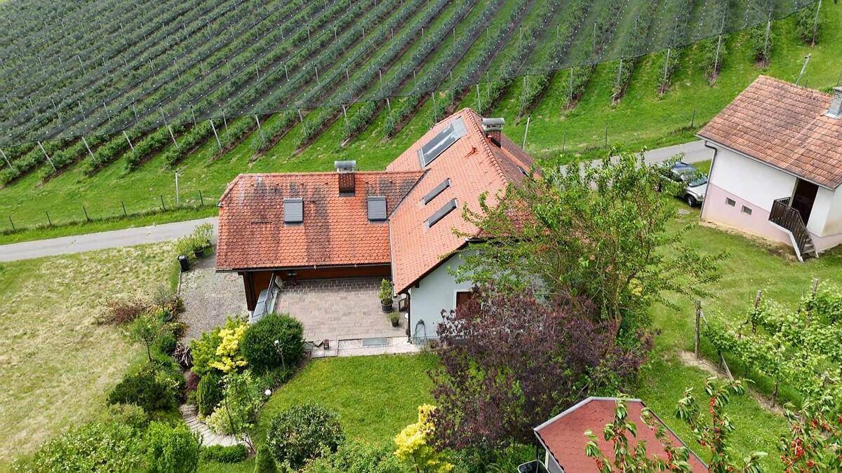 Luftaufnahme eines Hauses mit rotem Ziegeldach inmitten von Weinbergen und grüner Landschaft.