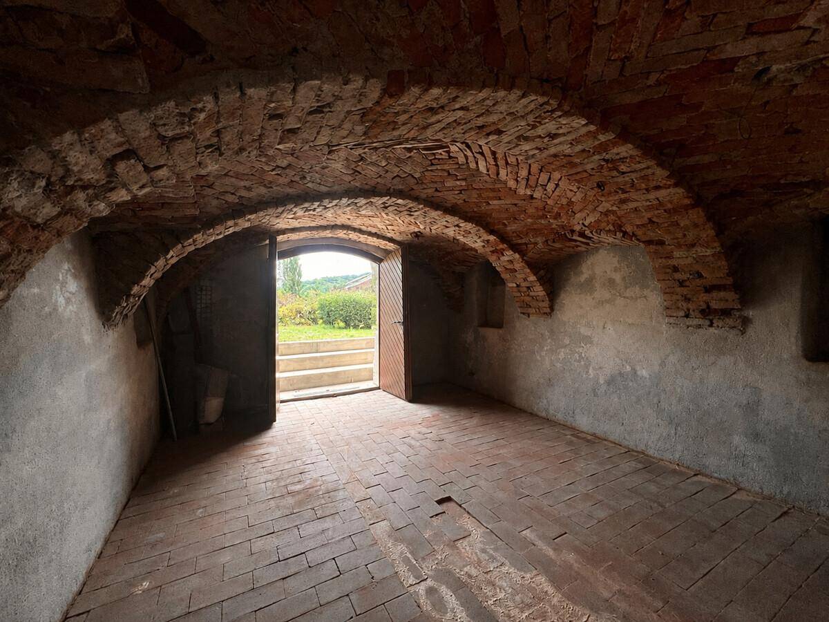 Historischer Kellerraum mit Ziegelgewölbedecke, Ziegelboden und Zugang zum Garten.