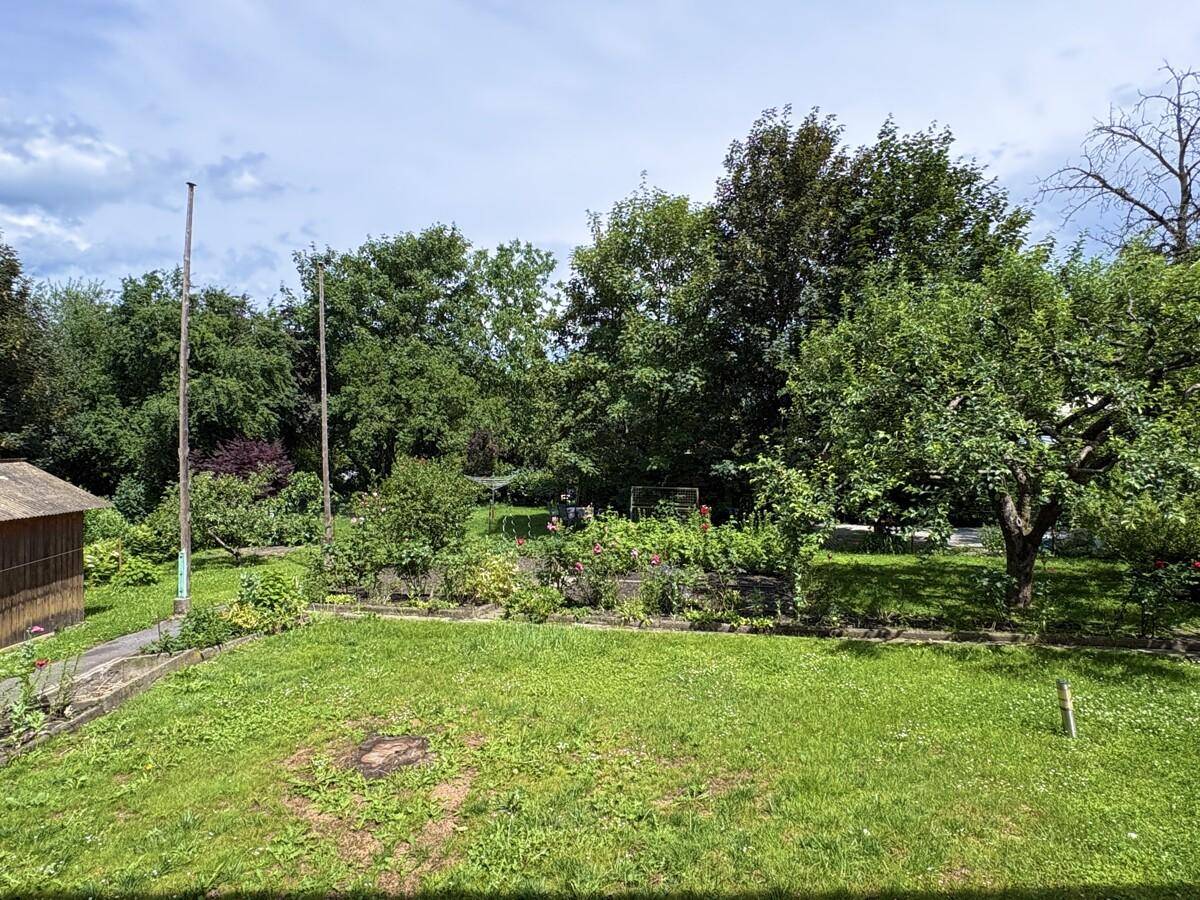 Weitläufiger Gartenbereich mit Rasenfläche, Obstbäumen und viel Grün.