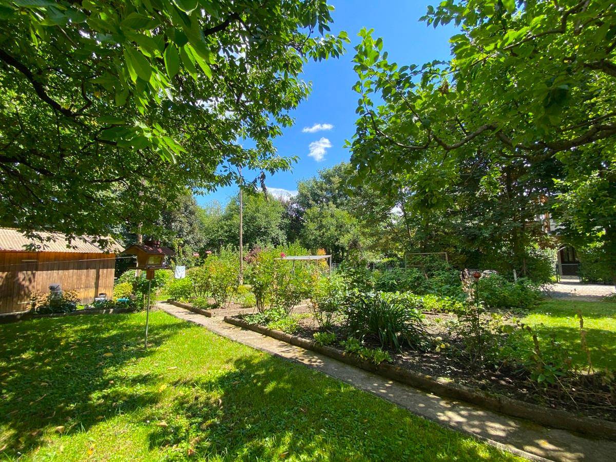 Gepflegter Garten mit üppiger Vegetation, Gartenweg und schattenspendenden Bäumen.
