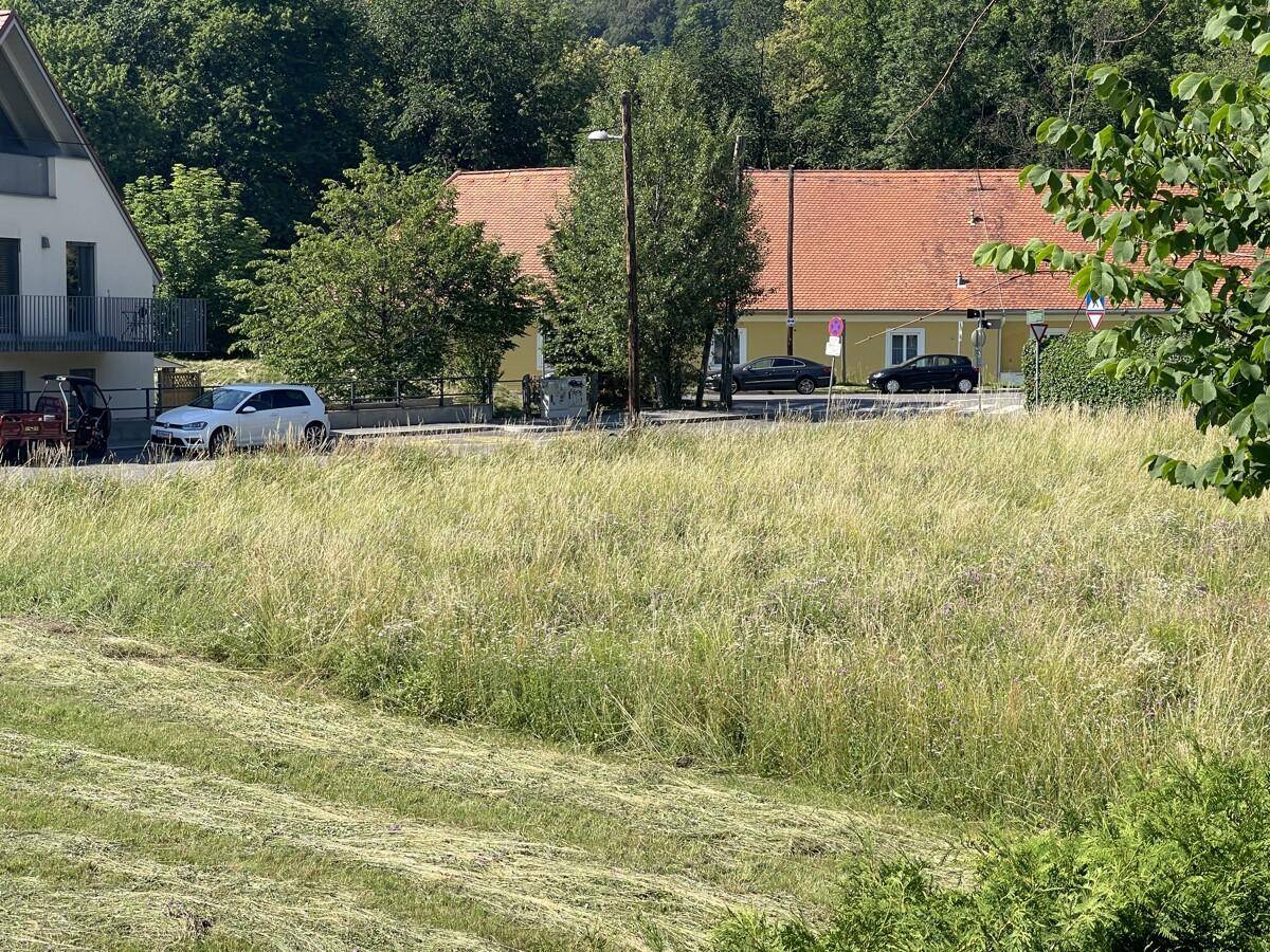 Bauträgergrundstück mit 1.004 m² in toller Lage! Bebauung bis ca. 320 m² Wohnfläche / TG möglich! - Ansicht 5