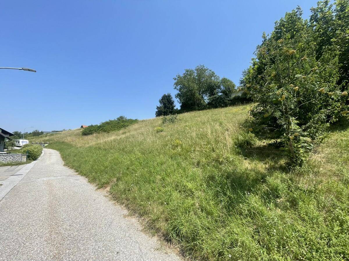 Grüner Hang neben einer asphaltierten Straße unter klarem blauem Himmel an einem sonnigen Tag.