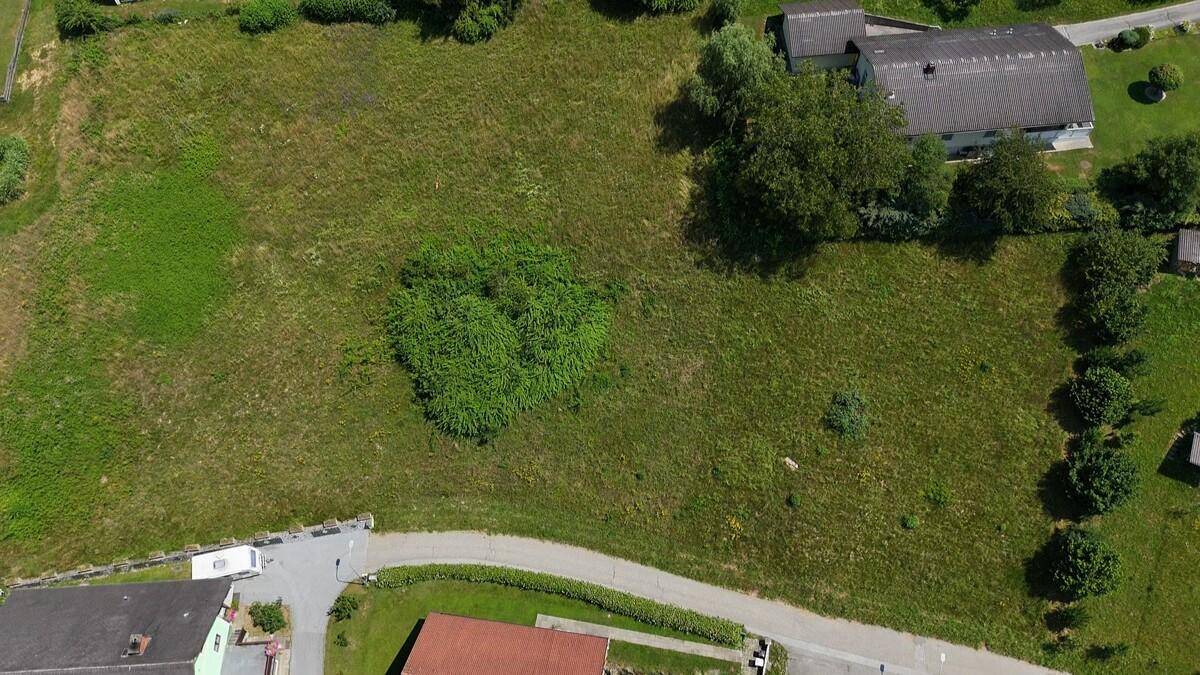 Vogelperspektive eines großen, grünen Grundstücks mit angrenzender Straße und Bebauung.