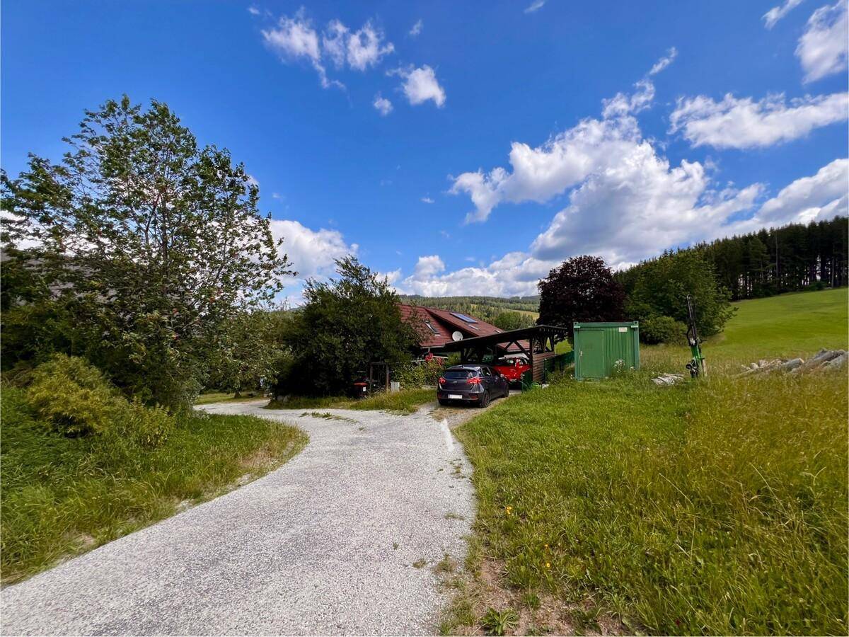 Zufahrt zum Anwesen mit Carport, umgeben von grünen Wiesen und Bäumen.