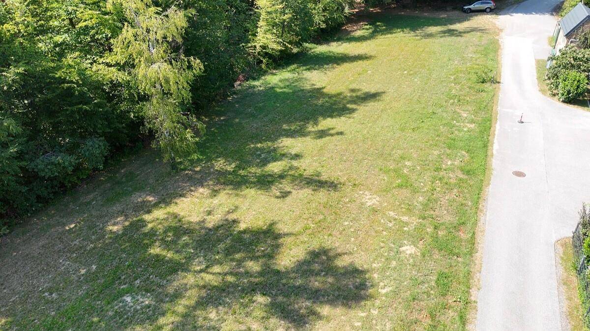 Übersicht aus der Vogelperspektive auf ein großes Wiesengrundstück mit Waldrand.