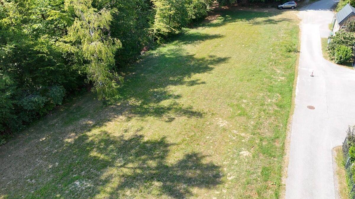 Grünes Grundstück von oben, begrenzt durch Wald und eine asphaltierte Zufahrt.