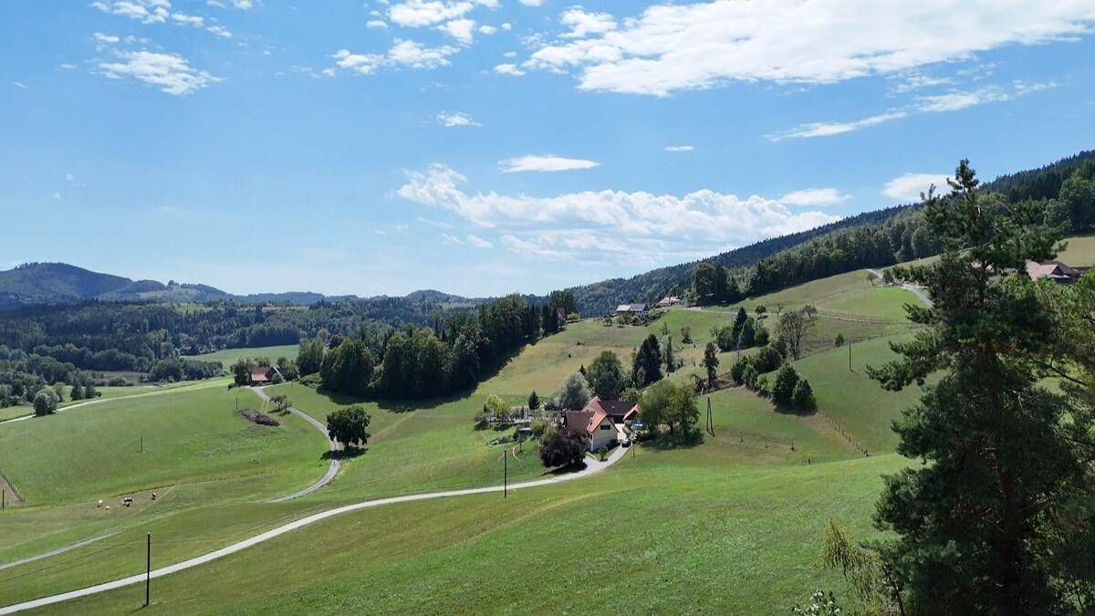 Idyllische Landschaft mit weiten grünen Feldern, Wäldern und einem Haus in der Ferne.