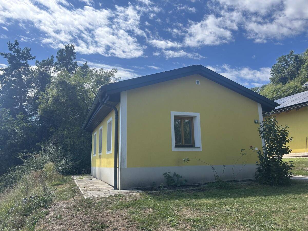 Seitenansicht eines gelben Hauses mit dunklem Dach und grüner Umgebung.