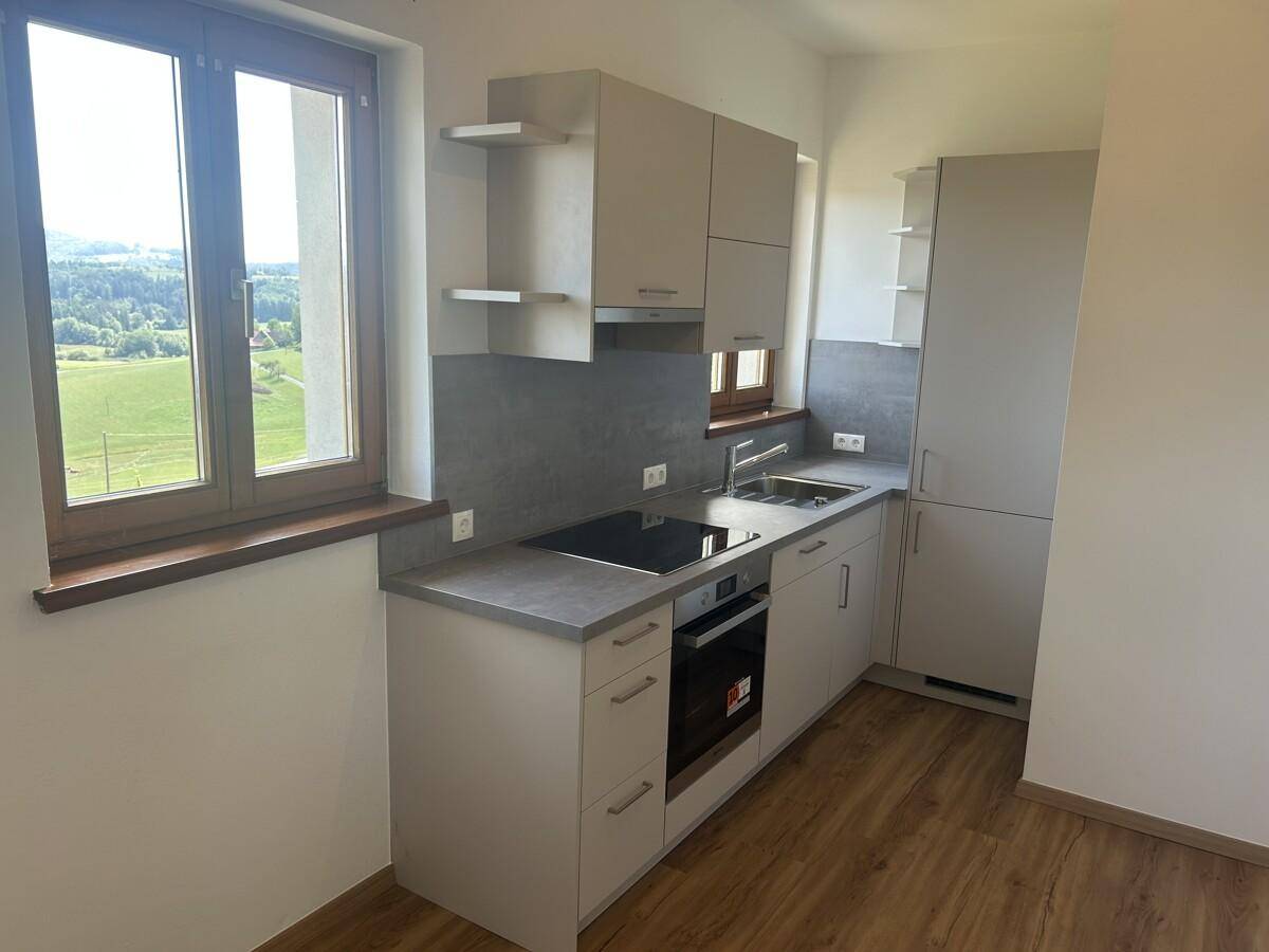 Moderne Einbauküche in hellen Farbtönen mit Induktionskochfeld und Blick ins Grüne.