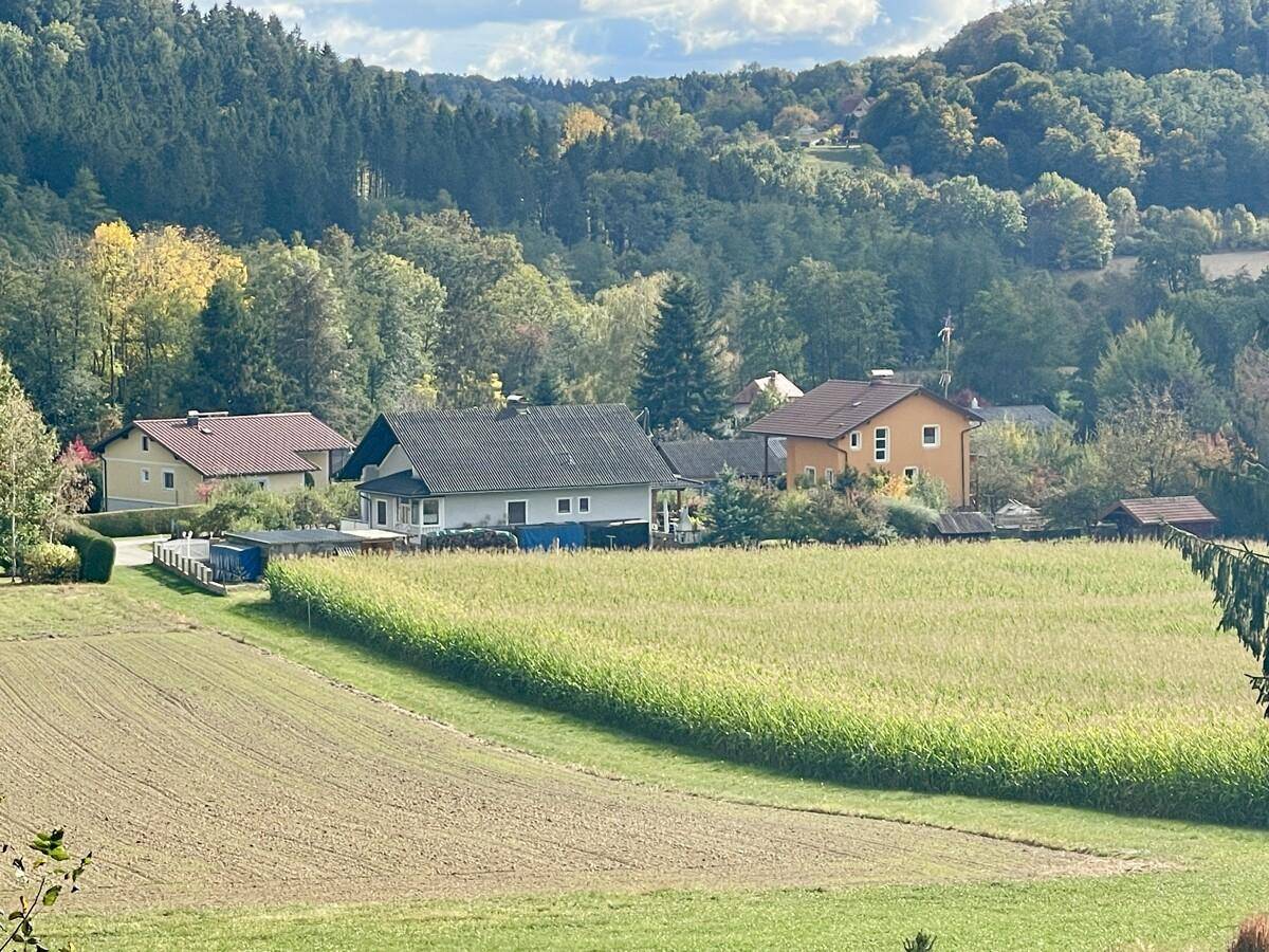 Blick auf das Grundstück
