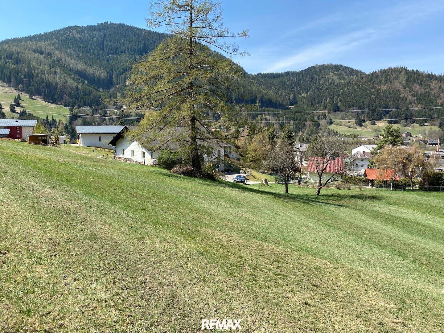 Sonniger Baugrund in Ruhelage - Ansicht 3