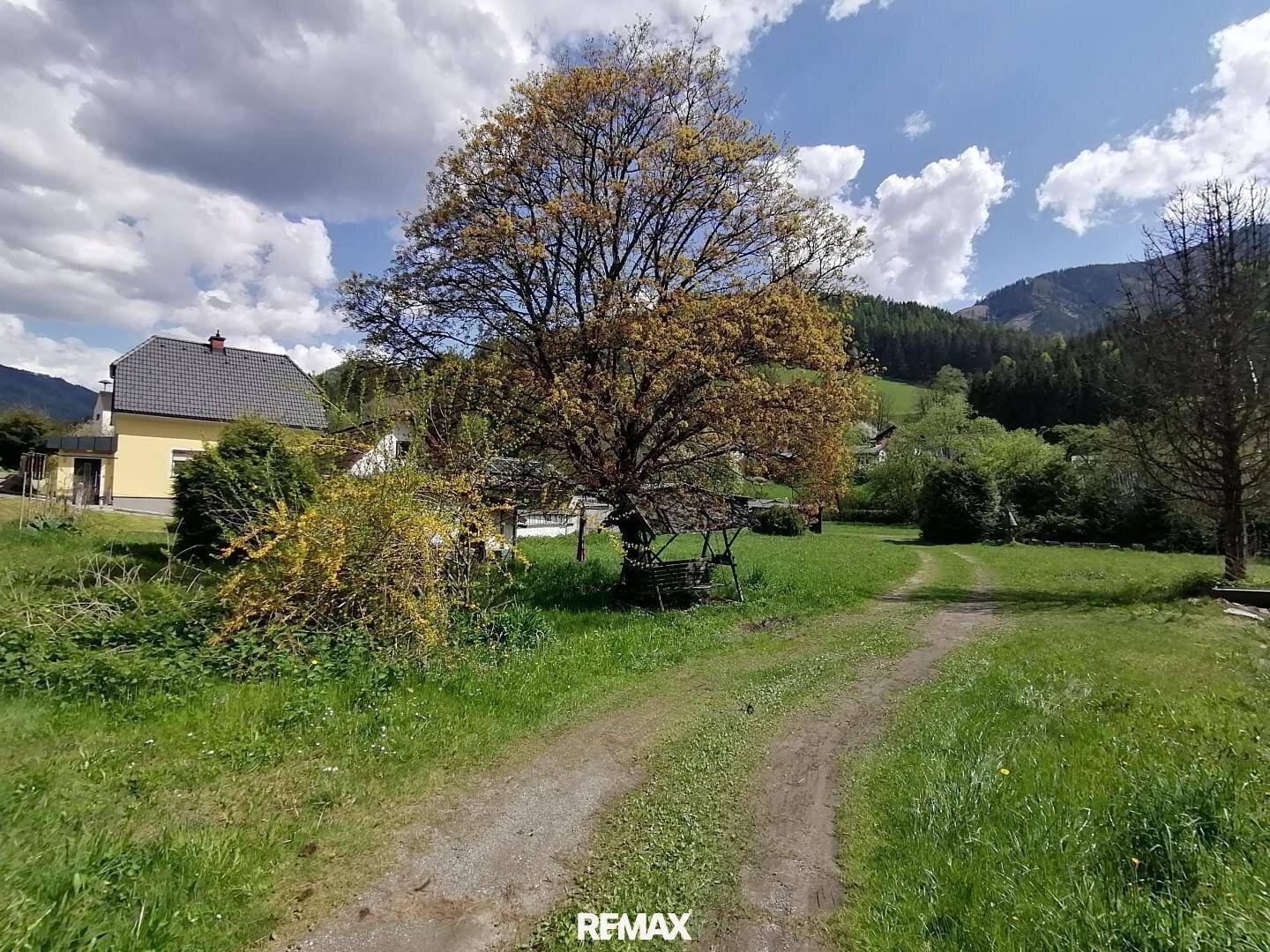 Ländliche Umgebung mit großem Baum, Wiese und Blick auf ein Haus im Hintergrund.