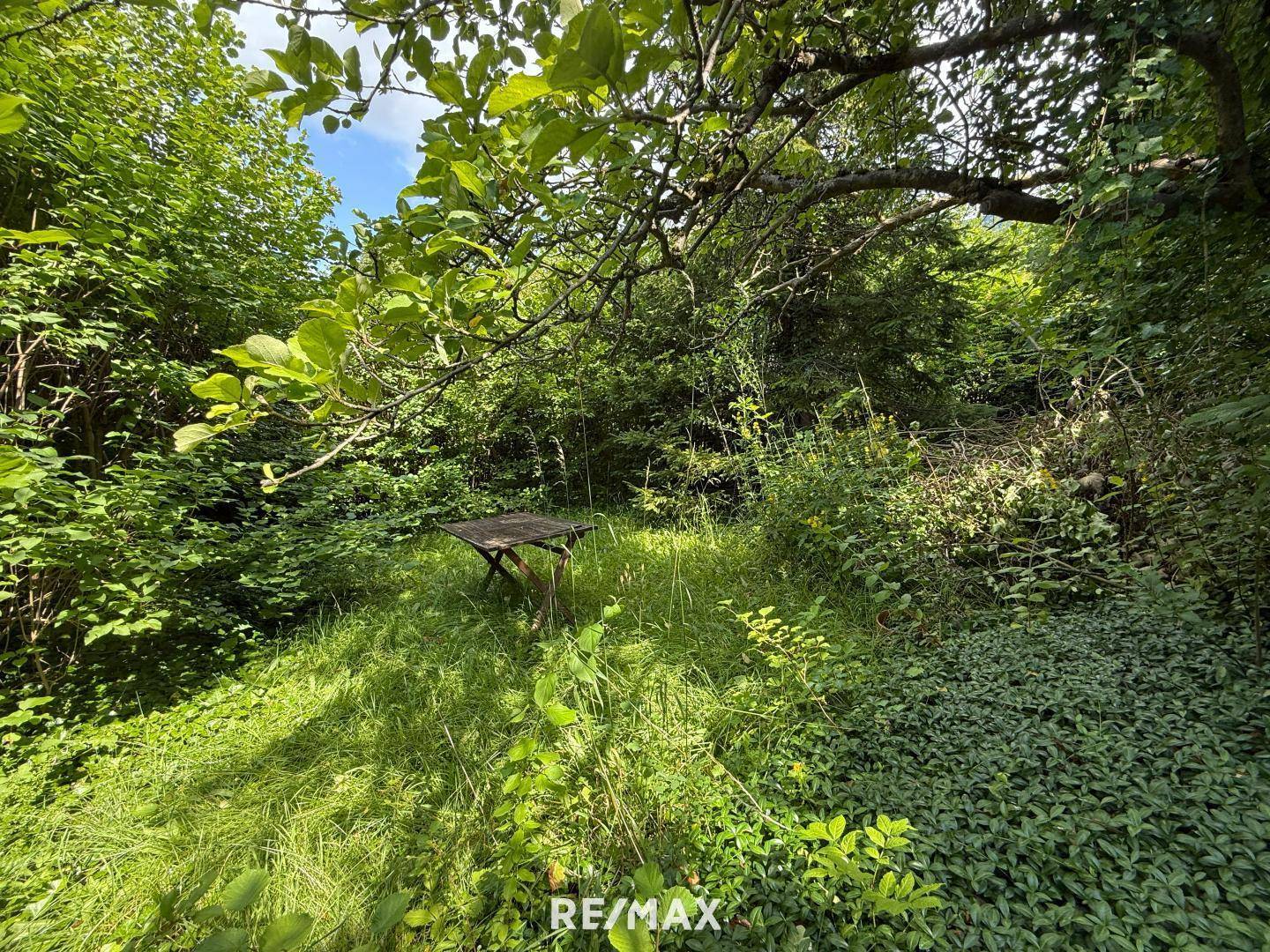 03Garten