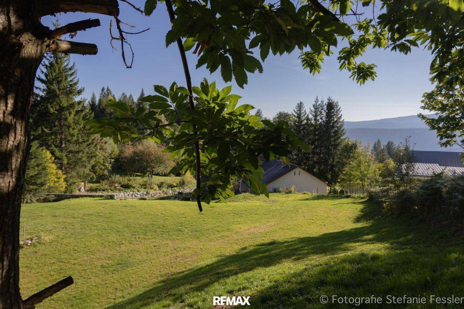 Weitläufige grüne Landschaft mit Bäumen und einem Haus im Hintergrund unter blauem Himmel.