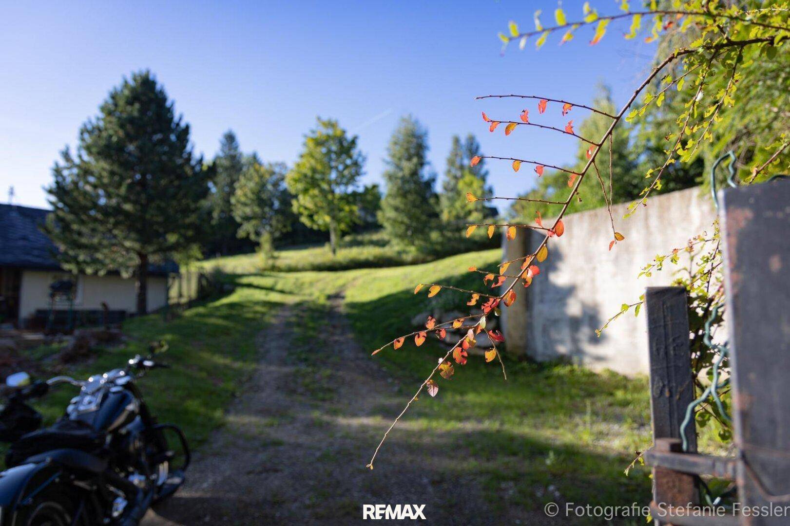 Ländlicher Weg mit Bäumen, einem Motorrad und herbstlichen Blättern im Vordergrund.