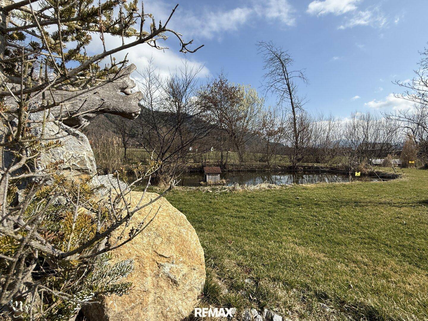Natürlicher Gartenteich mit Felsen und Bäumen, umgeben von grüner Wiese unter blauem Himmel.