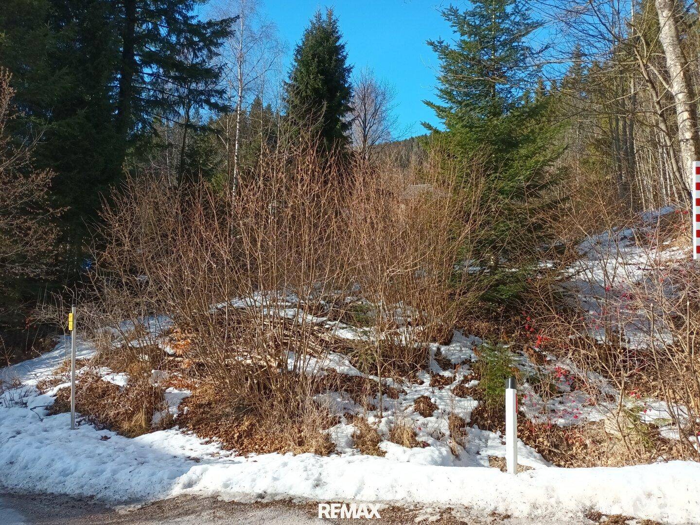 Verschneites Grundstück mit Büschen und Bäumen am Straßenrand, umgeben von Natur.