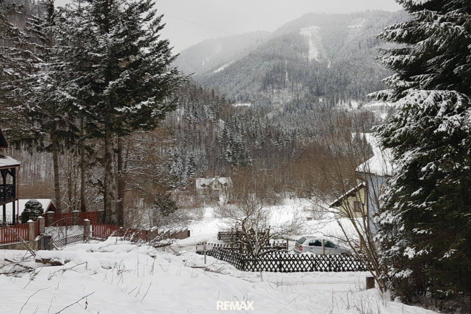 Malerische Winterlandschaft mit verschneiten Bergen, Wäldern und Häusern im Tal.