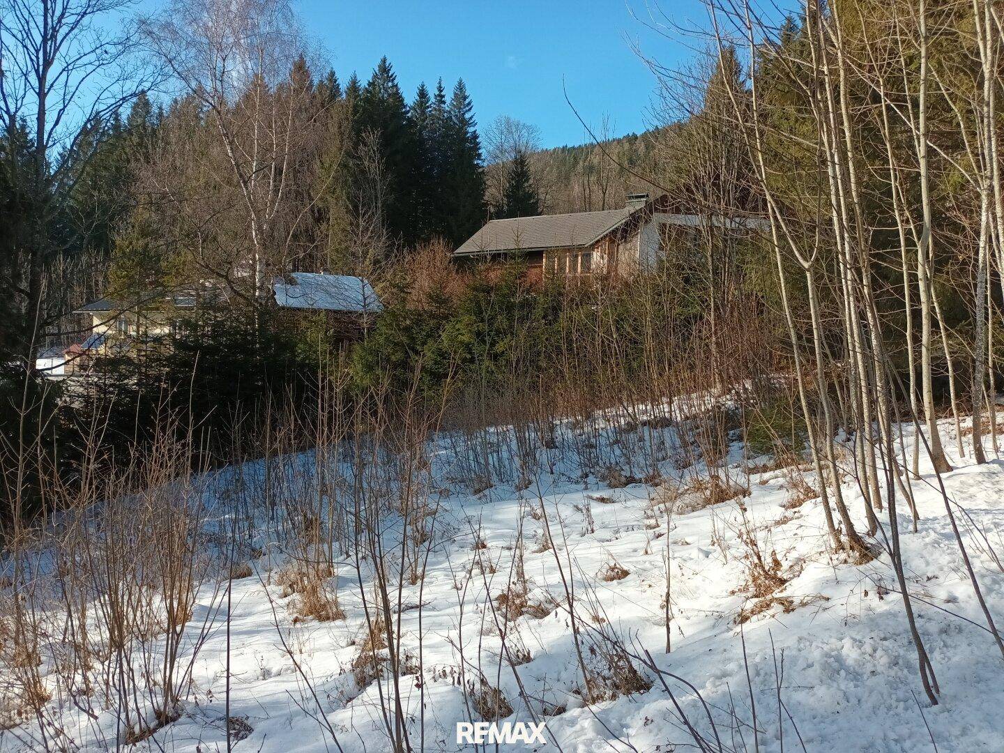 Winterliche Landschaft mit Schnee, kahlen Bäumen und einem Haus im bewaldeten Hintergrund.
