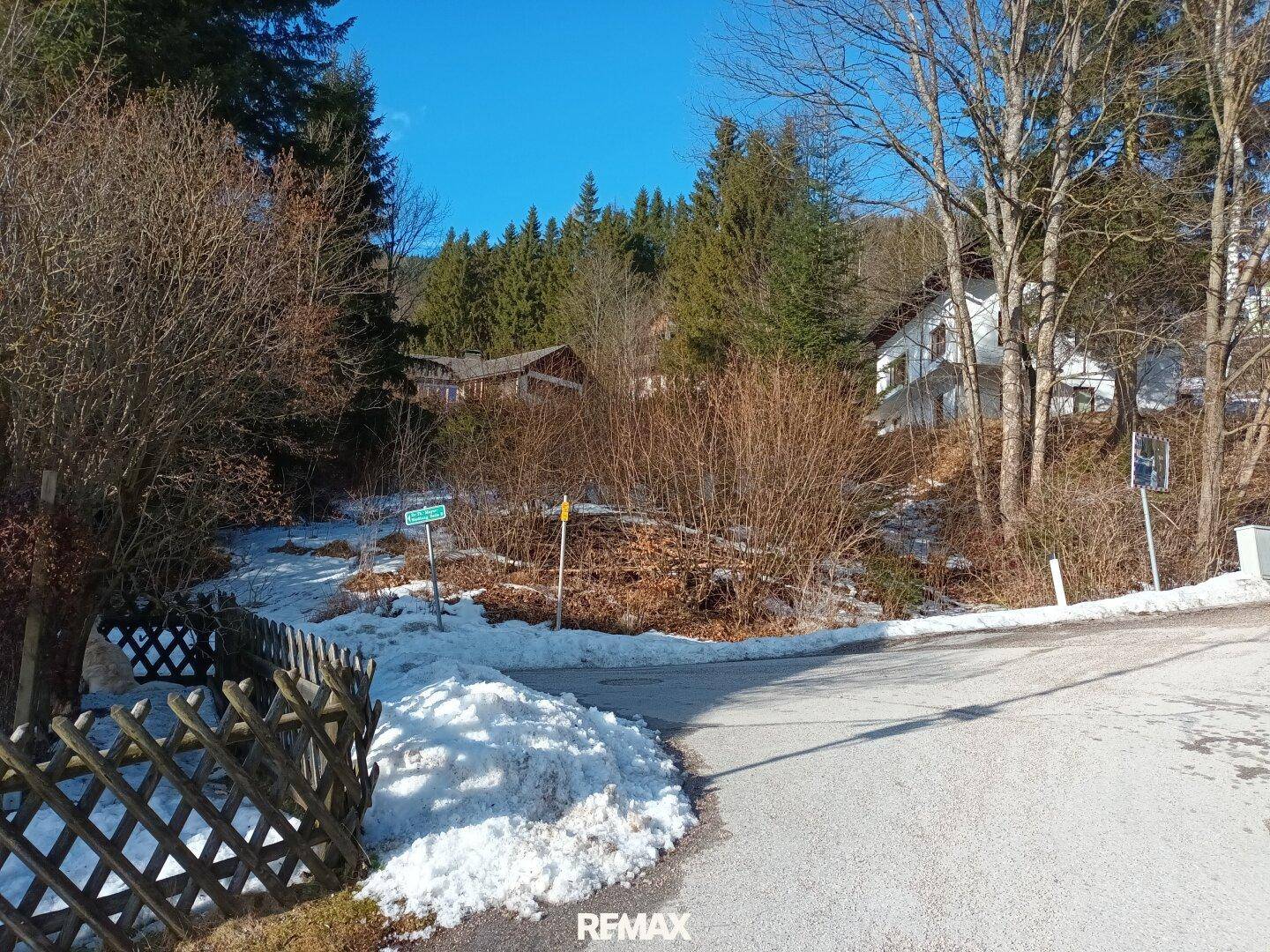 Winterliche Straßenecke mit Schnee, kahlen Büschen und einem Haus im Hintergrund.