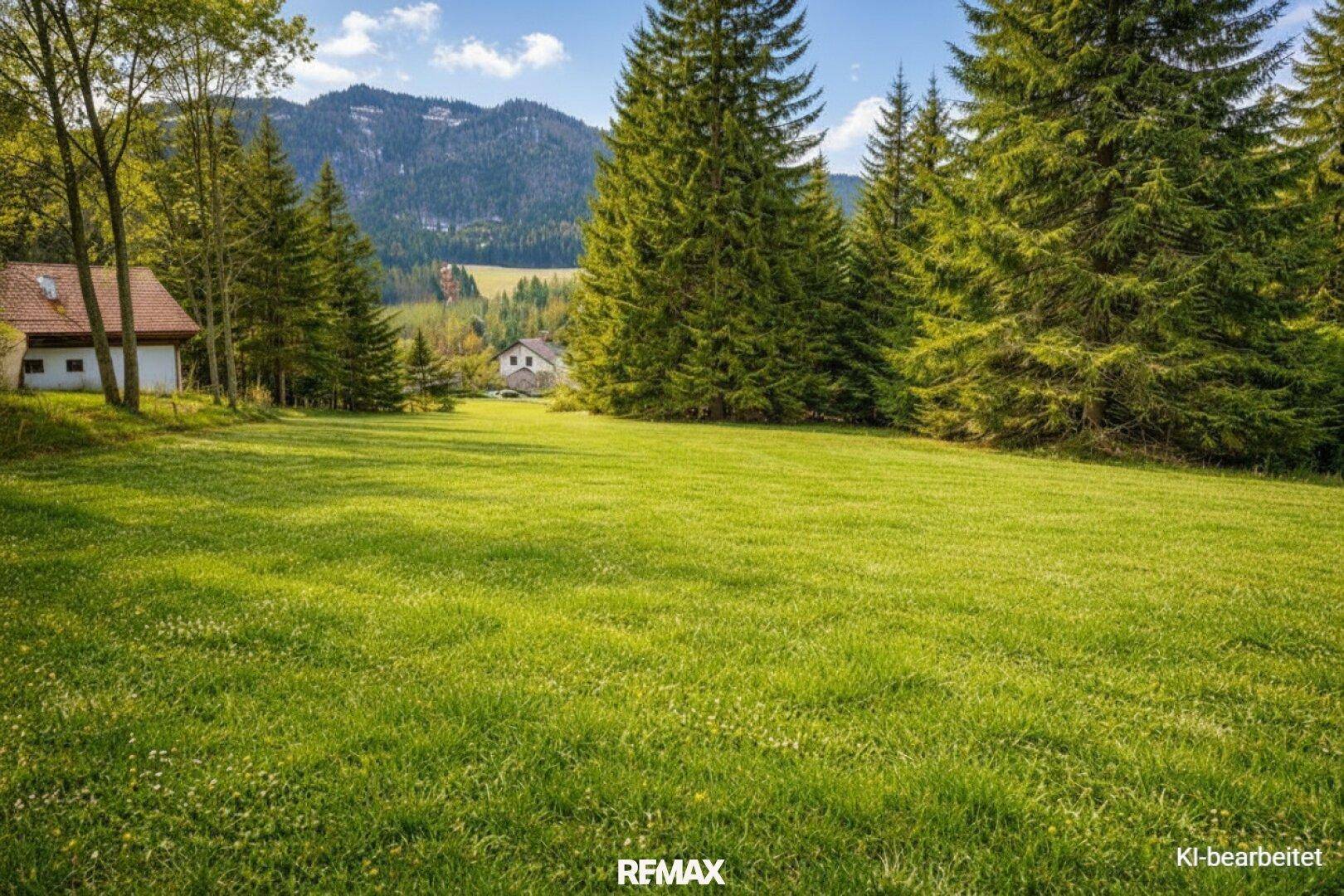 Weitläufige grüne Wiese umgeben von Bäumen mit einem Haus und Bergen im Hintergrund.