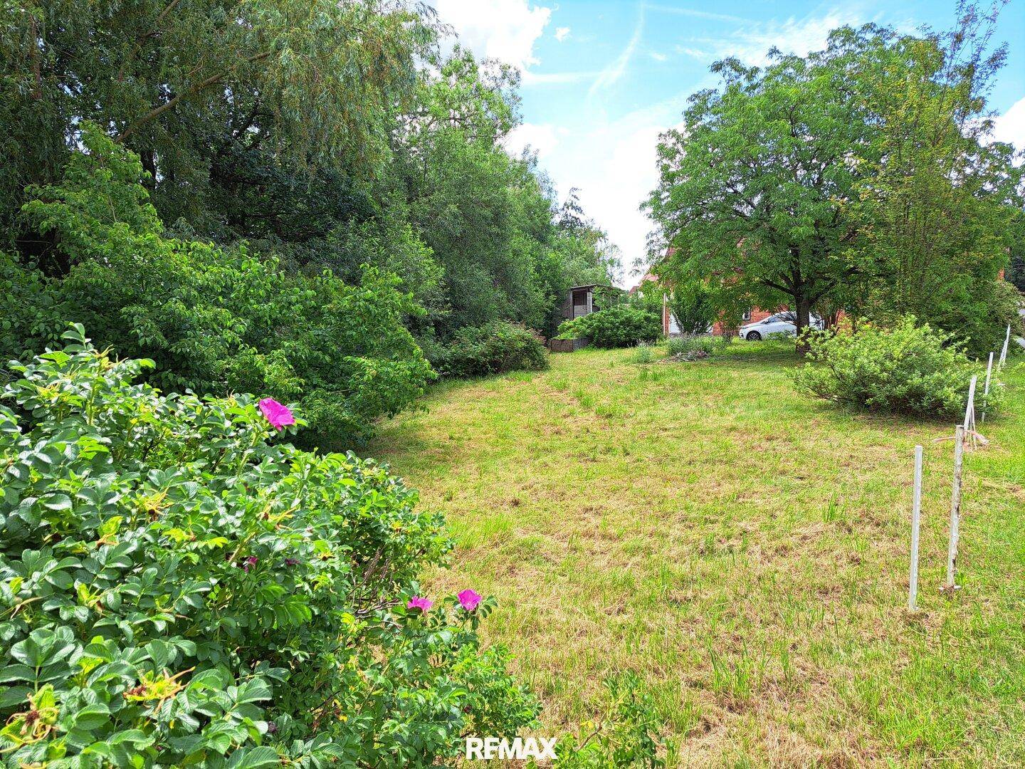 Großer Garten mit üppigem Grün, Sträuchern und einem sonnigen Rasenbereich.