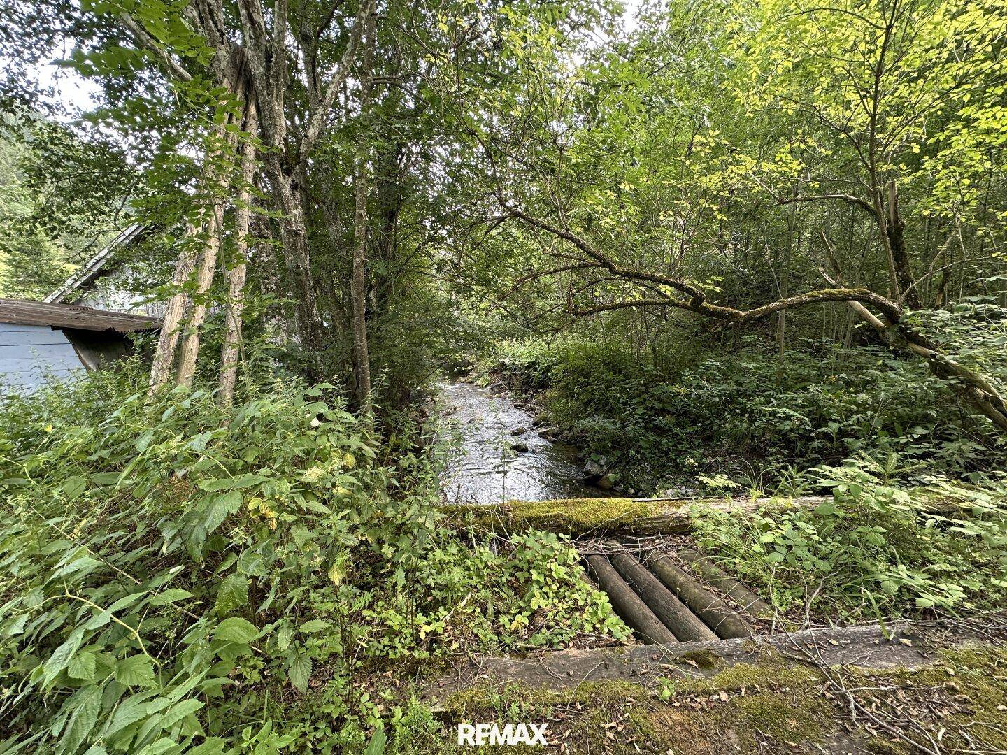 Kleiner Bach fließt durch die üppige Vegetation und Bäume.