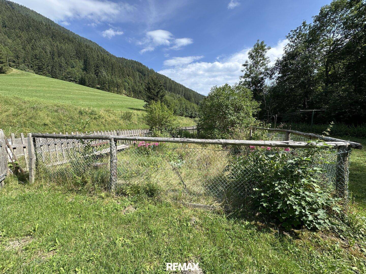 Eingezäunter Gartenbereich mit Rasen und Blumen, umgeben von grüner Natur.