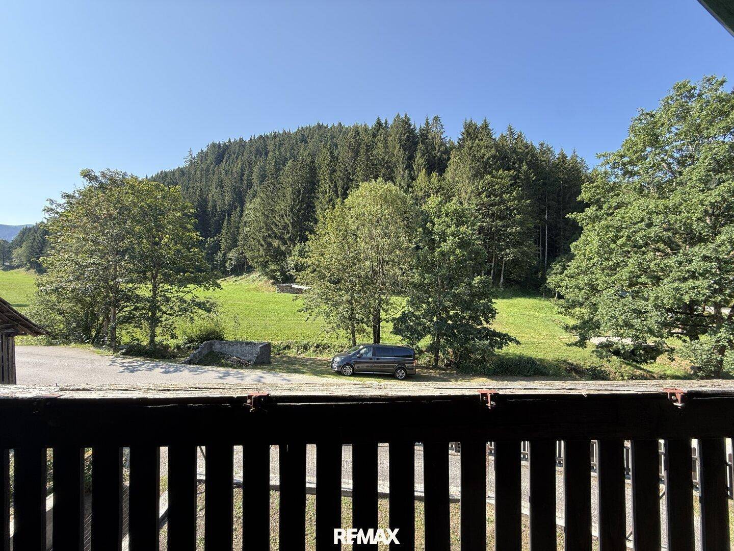 Blick vom Balkon auf die grüne Landschaft mit Bäumen und Wiesen unter blauem Himmel.