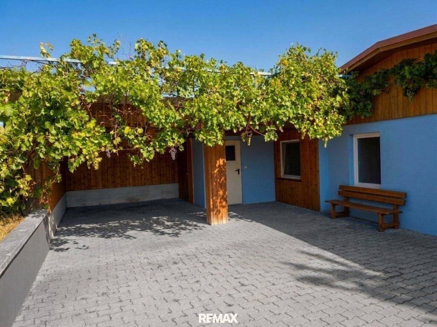 Überdachter Bereich mit gepflastertem Boden und Weinreben, ideal als Carport oder Sitzplatz.