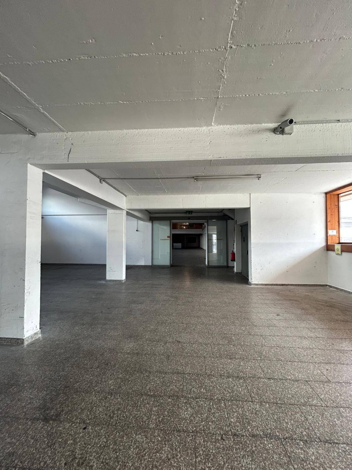 Großer, offener Gewerberaum mit Säulen, Betonboden und natürlichem Lichteinfall.