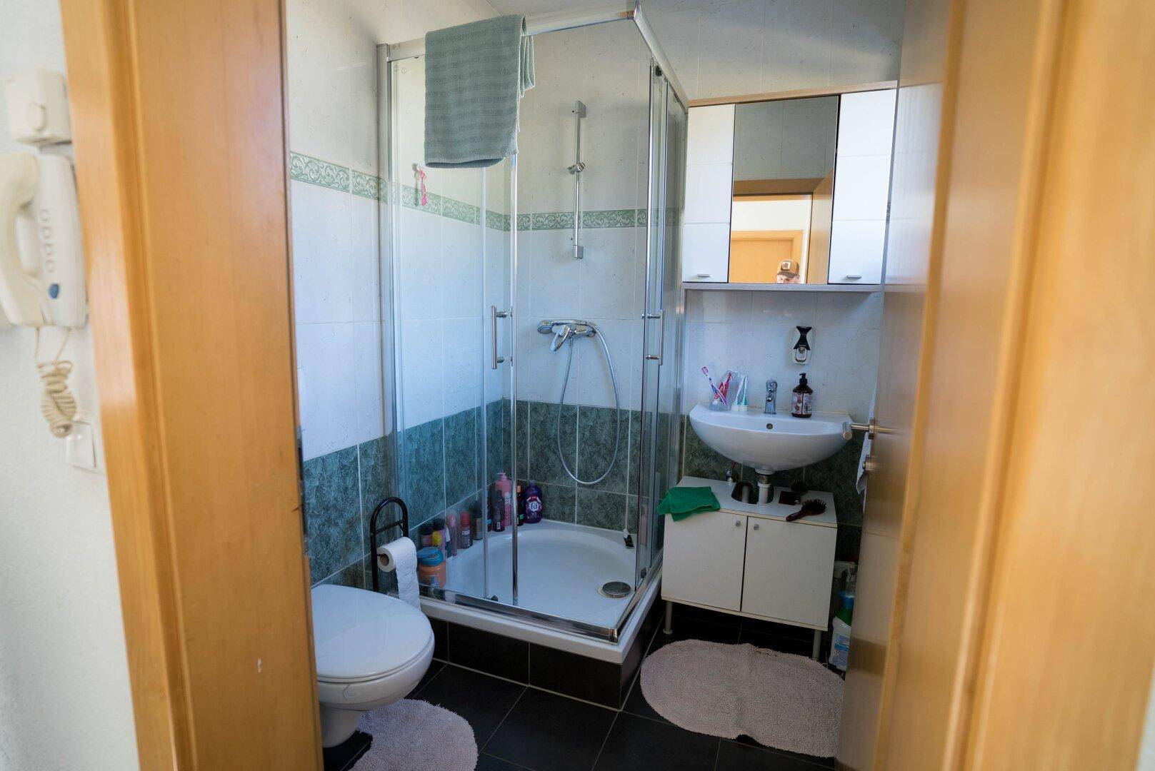 Kleines Badezimmer mit Duschkabine, Waschbecken und WC in funktionalem Design.