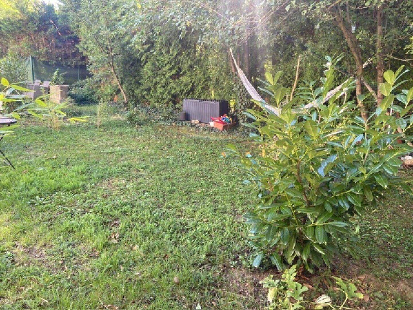 Naturbelassener Gartenbereich mit Rasenfläche, Bäumen und Sträuchern, bietet viel Grün.