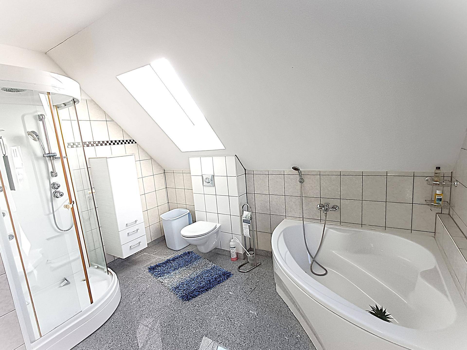 Geräumiges Badezimmer mit Eckbadewanne, Duschkabine, WC und Dachfenster für Tageslicht.