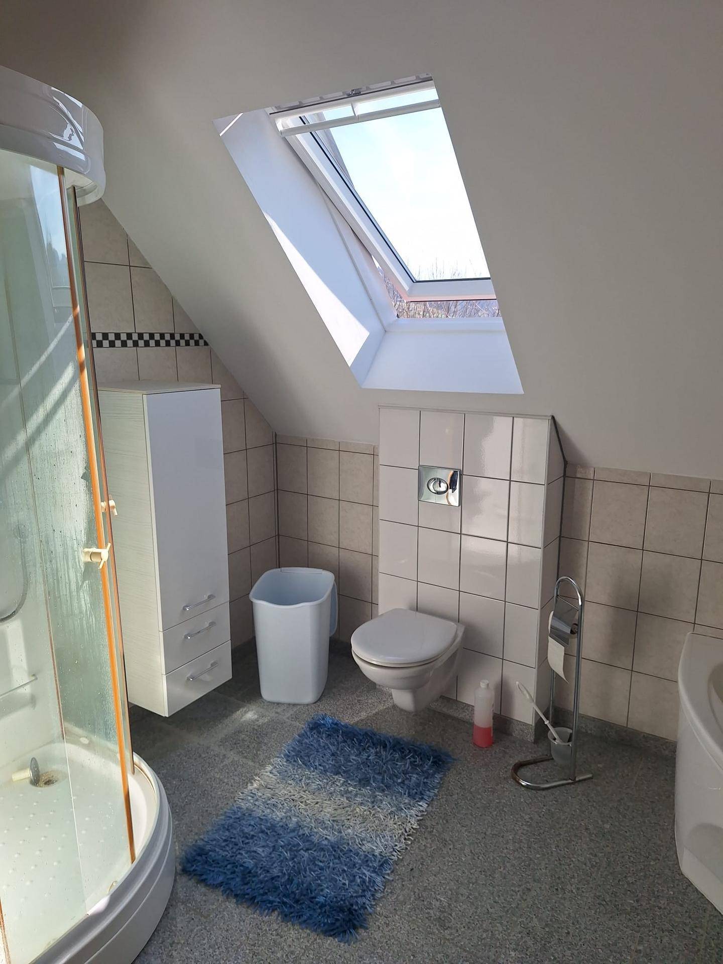Badezimmer im Dachgeschoss mit Dusche, WC und Dachfenster für natürliches Licht.
