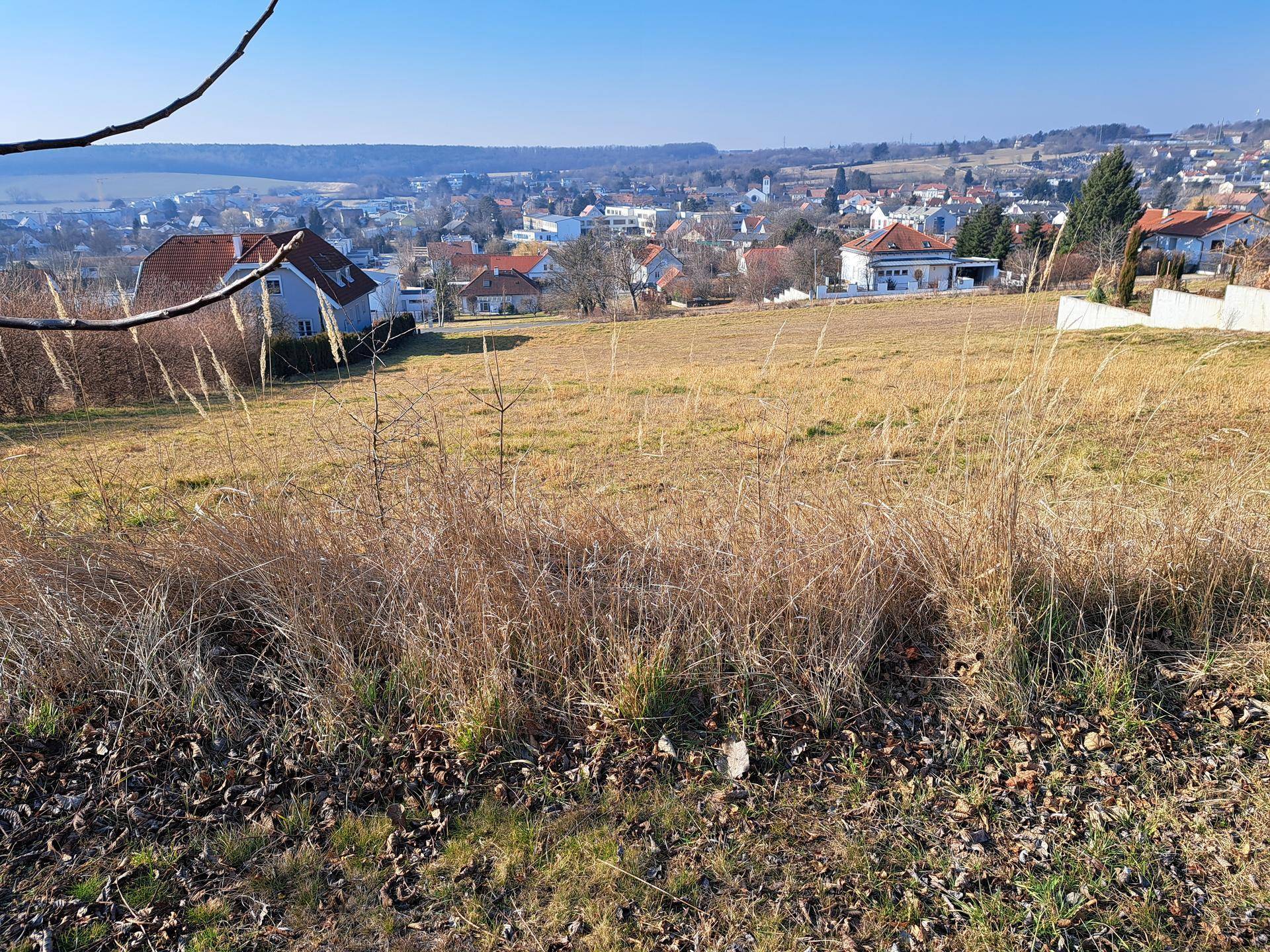Grundstück mit hohem, trockenem Gras im Vordergrund und Panoramablick auf die Stadt in der Ferne.