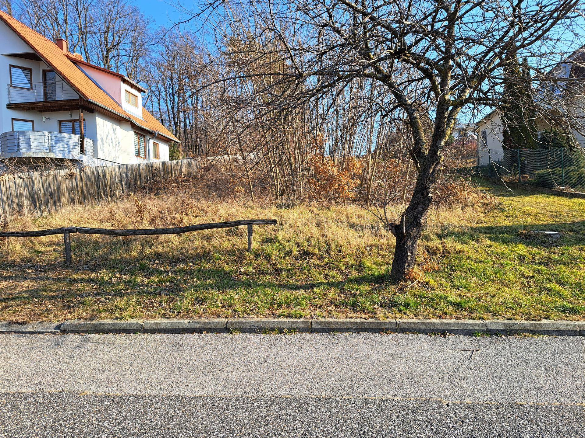 Grundstück mit trockenem Gras, einem kahlen Baum und einem Haus im Hintergrund, von der Straße aus fotografiert.