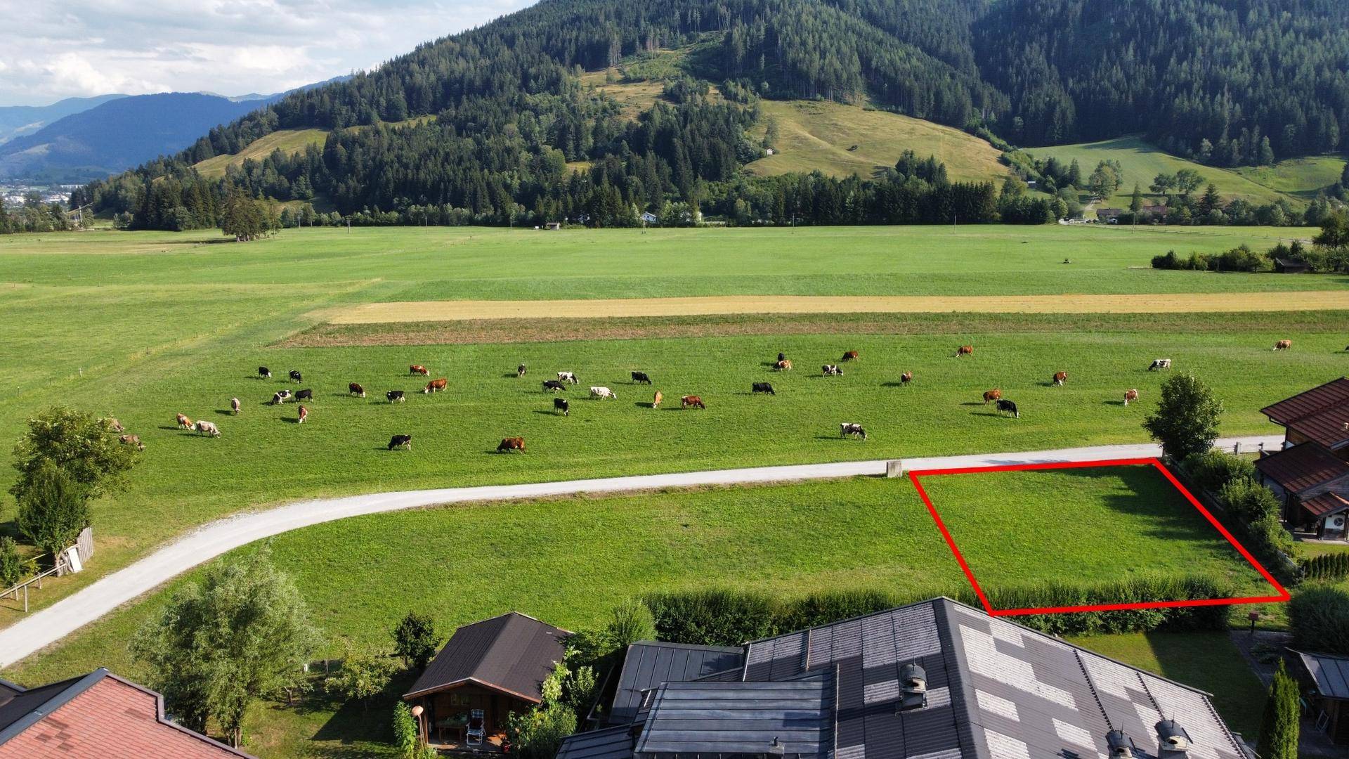 Panoramablick auf das Baugrundstück mit weiten grünen Feldern und einer beeindruckenden Bergkulisse im Hintergrund.