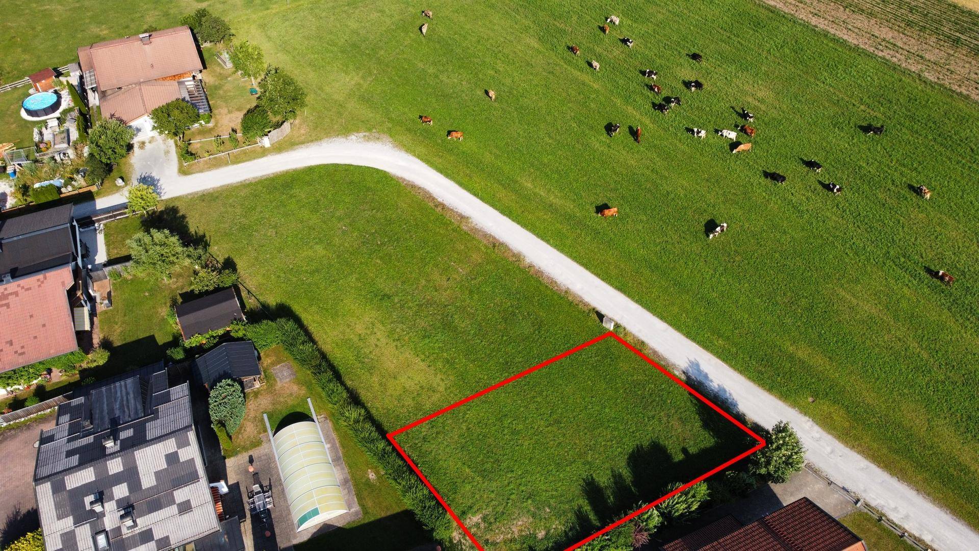 Blick aus der Vogelperspektive auf das Baugrundstück, umgeben von einer ländlichen Straße und grünen Weiden.