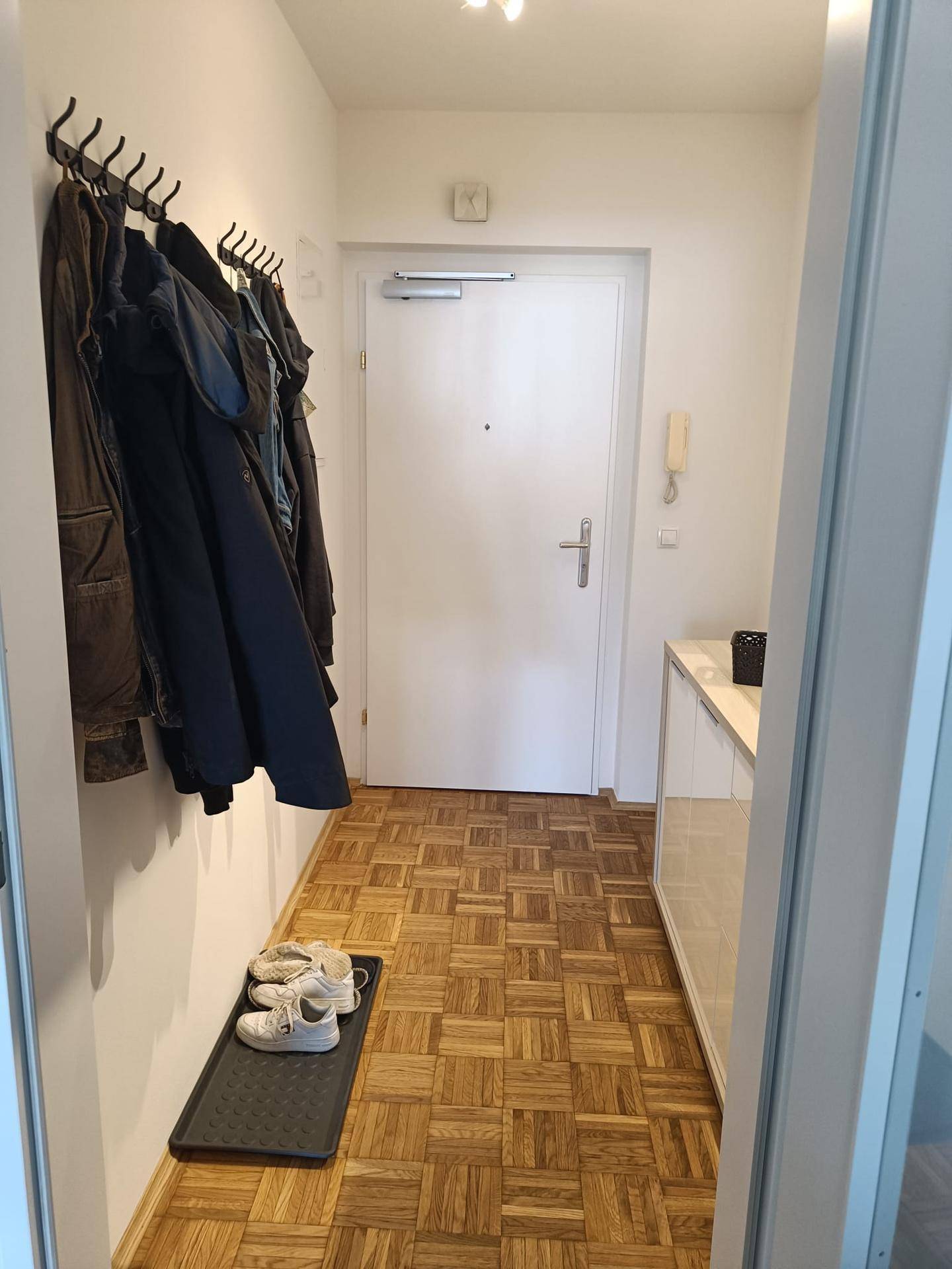 Heller Flur mit Parkettboden, Garderobe und Eingangstür mit Gegensprechanlage.