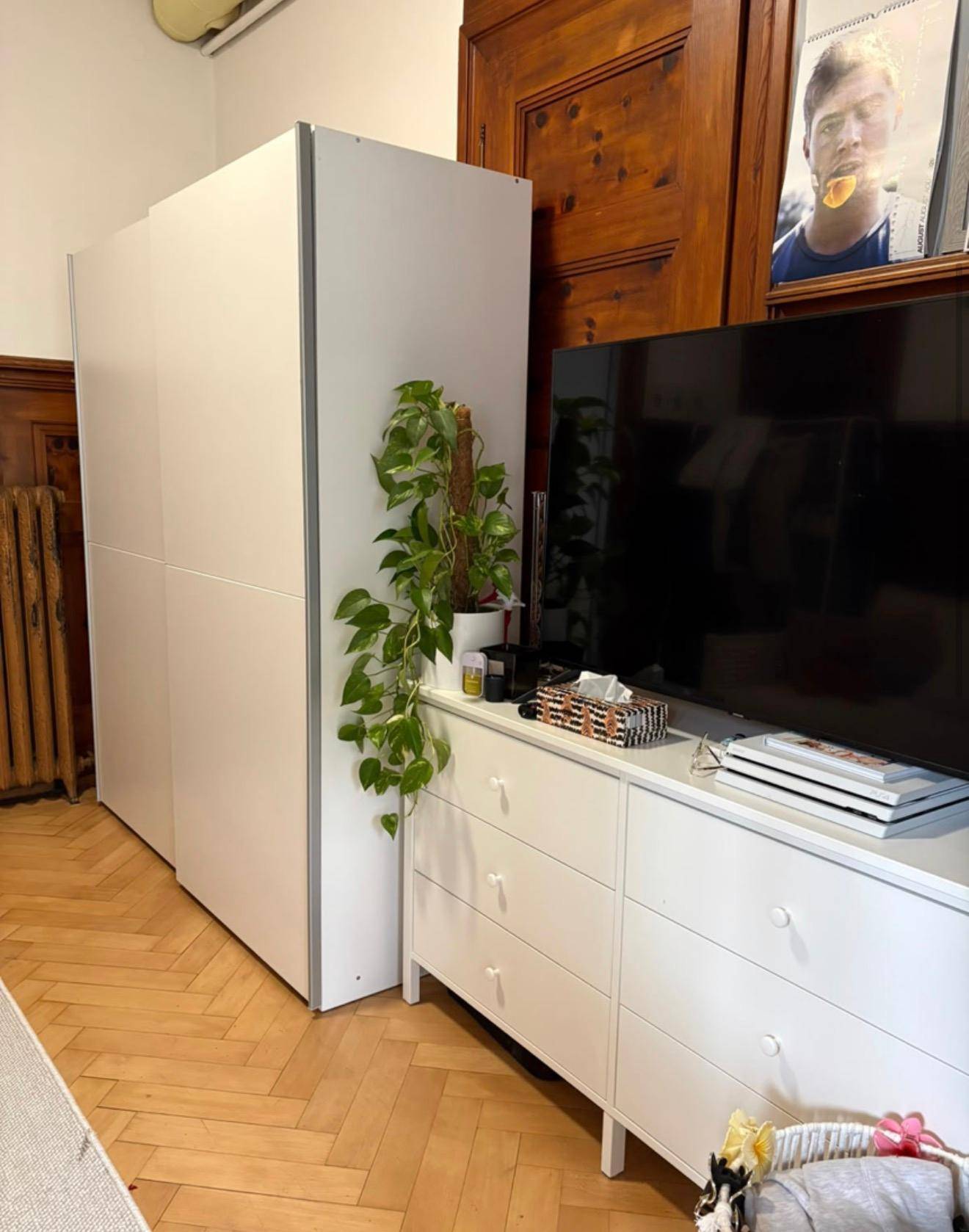 Detailansicht des Wohnzimmers mit weißer Kommode, Fernseher und einer Zimmerpflanze.
