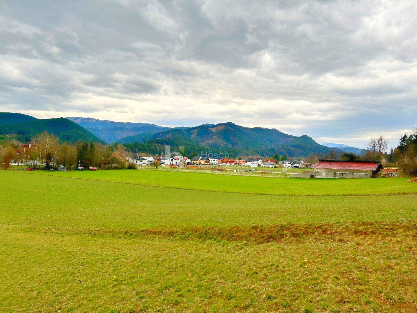 Panoramablick über grüne Felder auf ein Dorf mit Bergen im Hintergrund unter bewölktem Himmel.