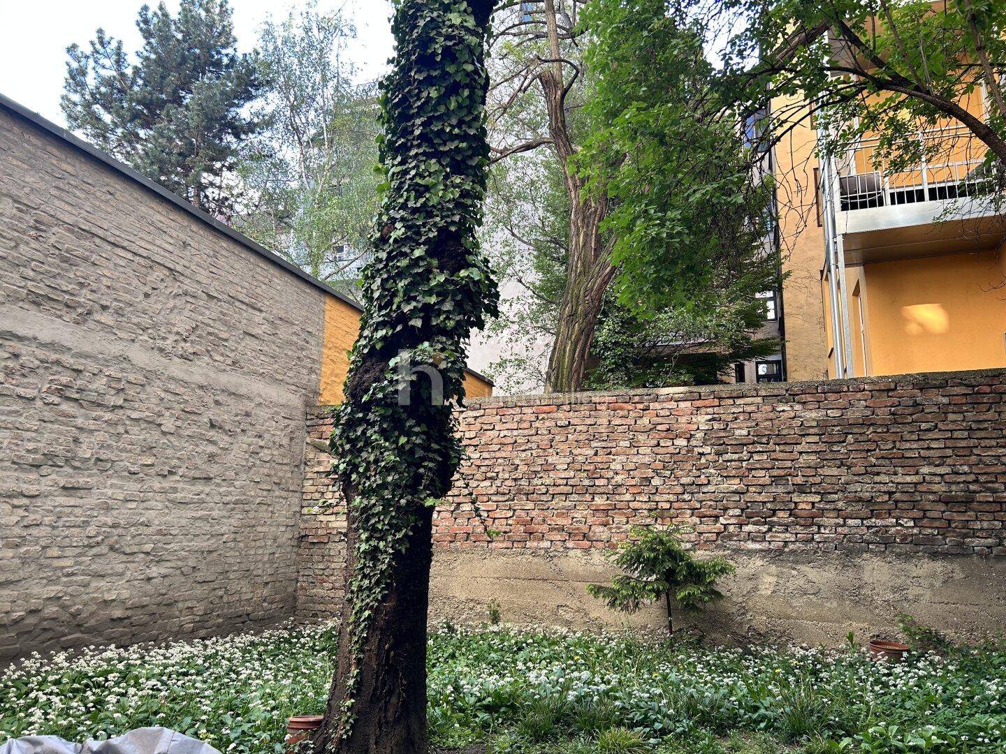 Grüner Innenhof mit bewachsenem Baum und alter Ziegelmauer, umgeben von Gebäuden.