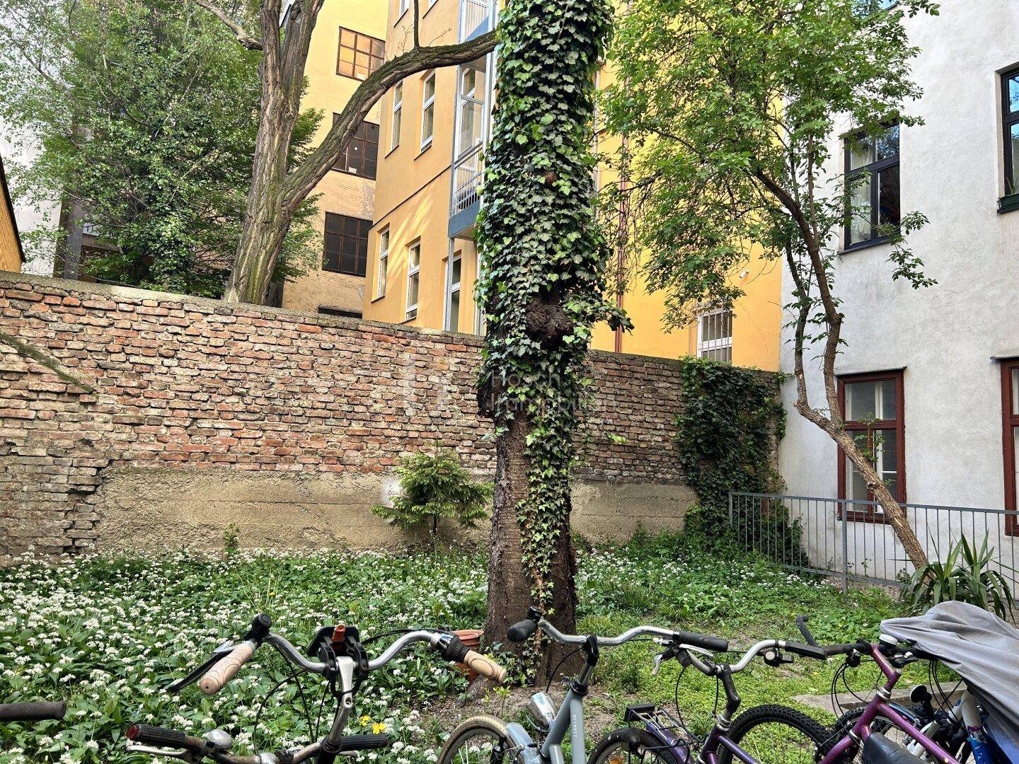 Ruhiger Innenhof mit viel Grün, alten Bäumen und Fahrradabstellplätzen, umgeben von Wohngebäuden.