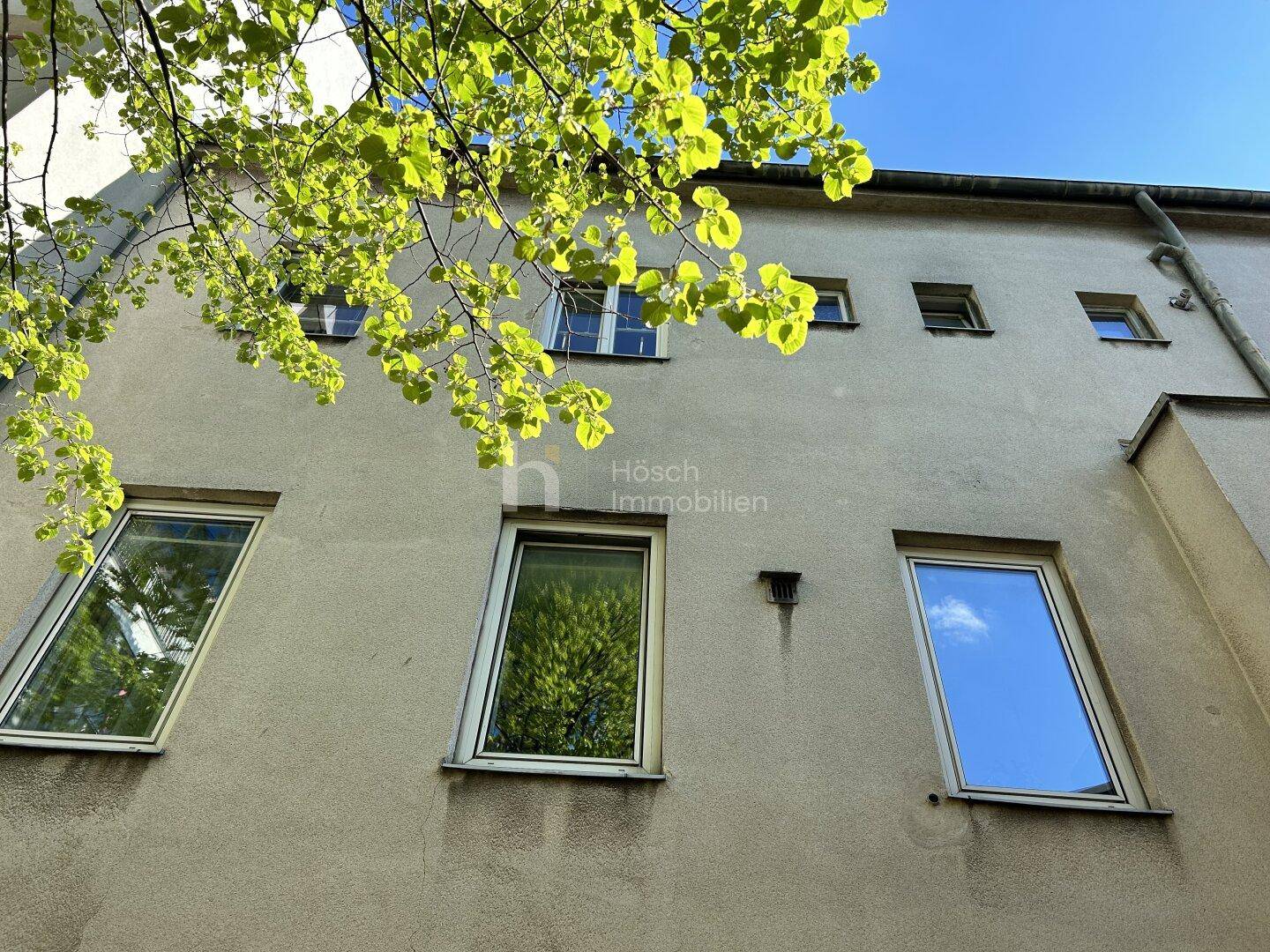 Rückfassade des Gebäudes mit verschiedenen Fenstern und grünen Blättern im Vordergrund.